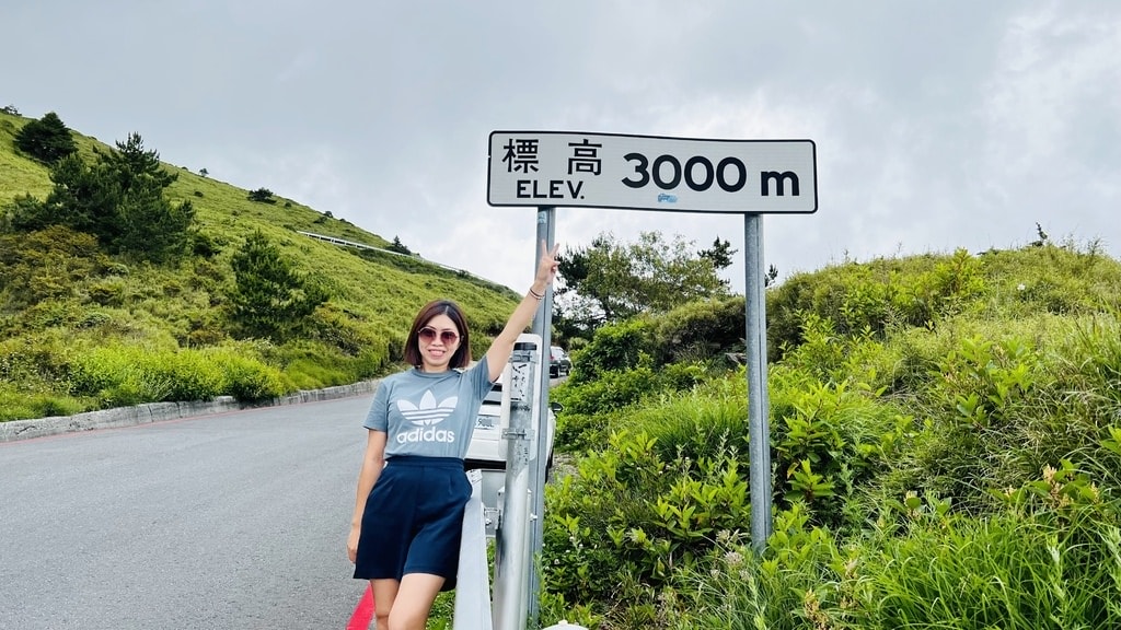 前往合歡山-88.JPG