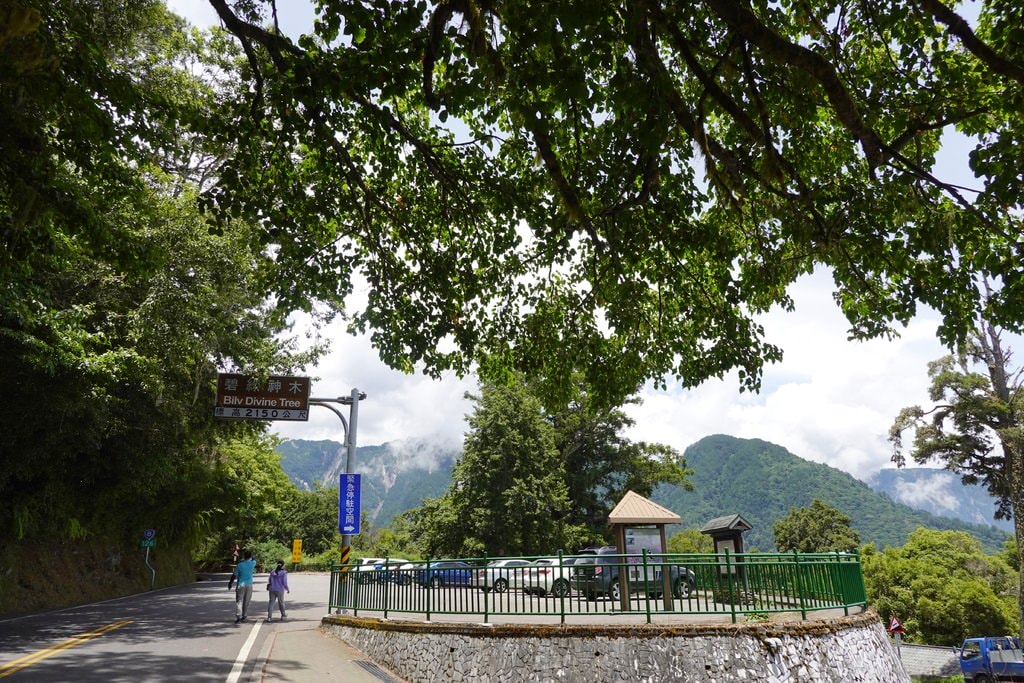 前往合歡山-17.JPG