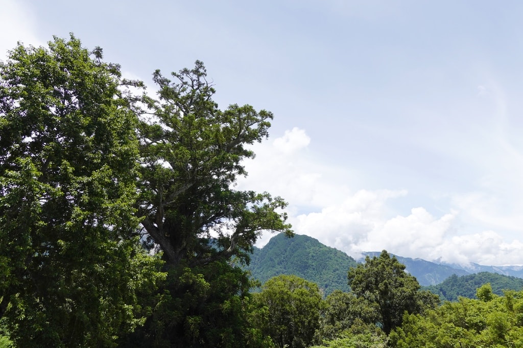 前往合歡山-19.JPG