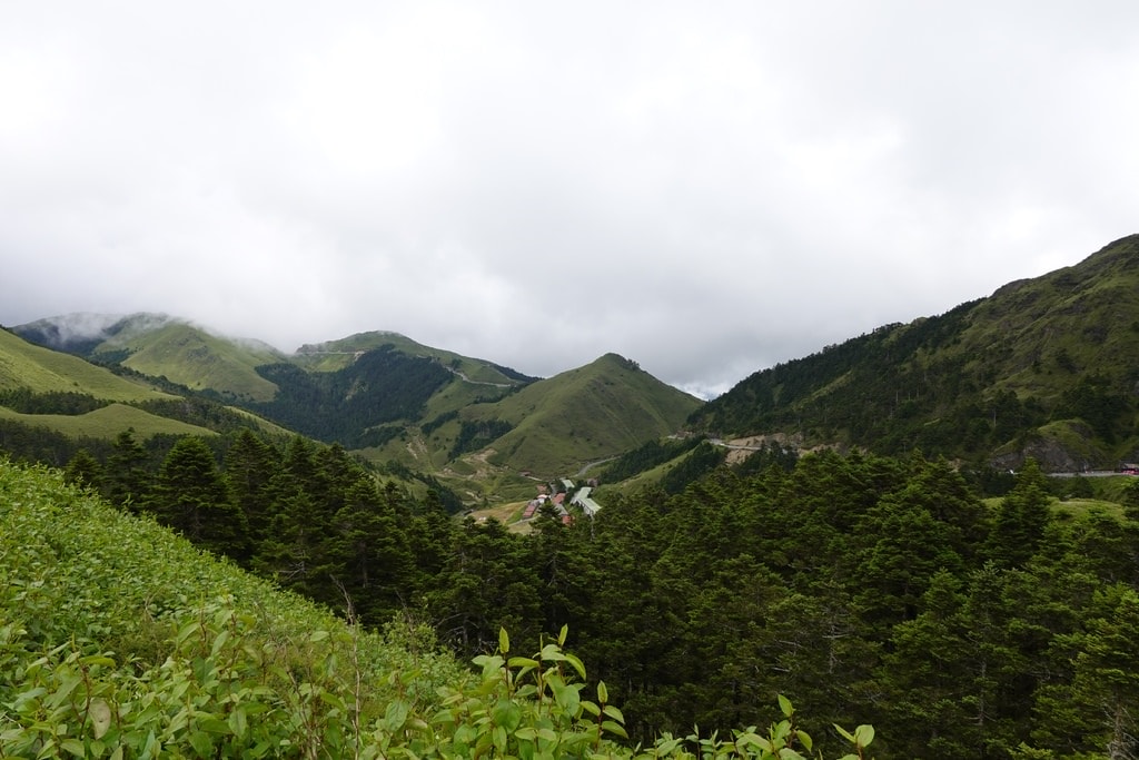 前往合歡山-51.JPG