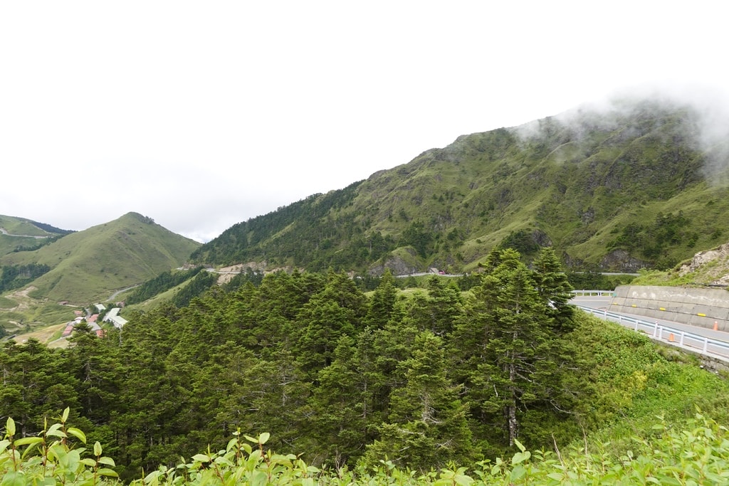 前往合歡山-50.JPG