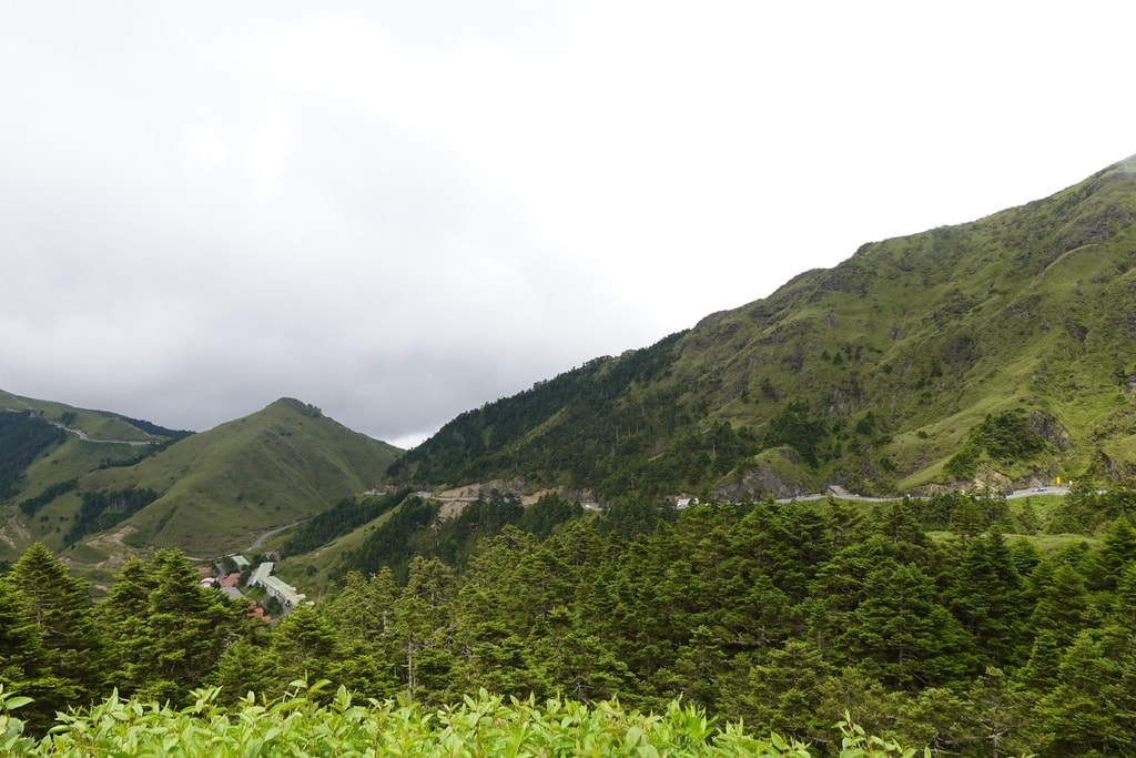 前往合歡山-56.JPG