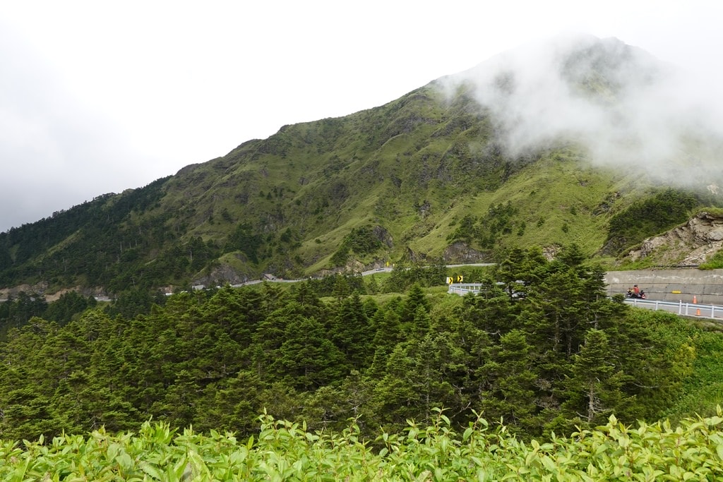 前往合歡山-55.JPG