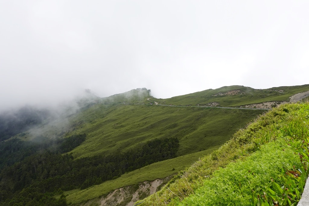 前往合歡山-63.JPG
