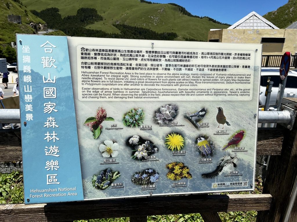合歡尖山-6.JPG