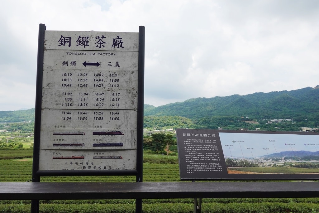 銅鑼茶廠-31.JPG