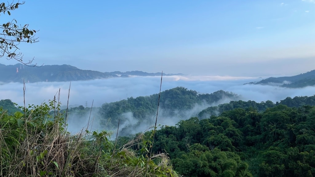 山美學-131.JPG
