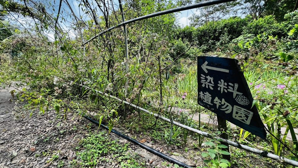 卓也-38.JPG