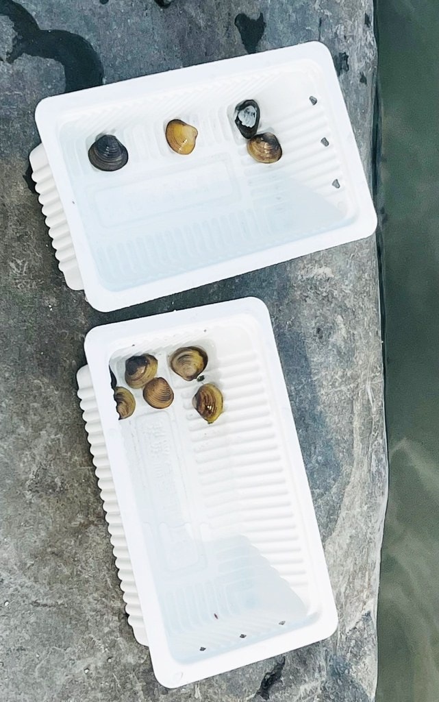 立川-100.jpg