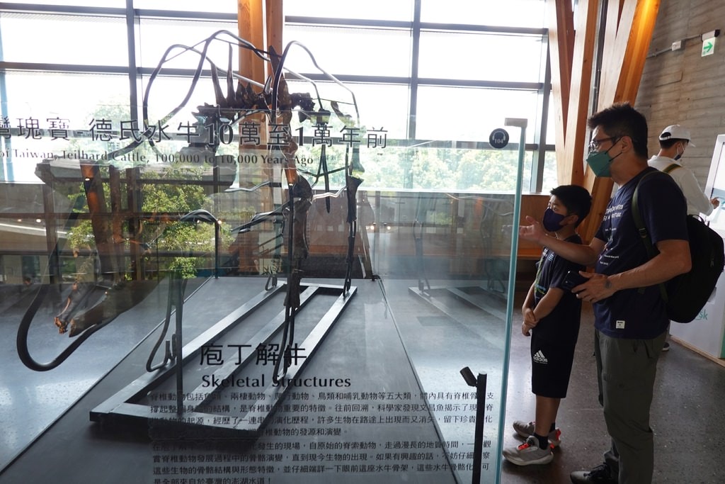 化石-5.JPG 化石-5.JPG