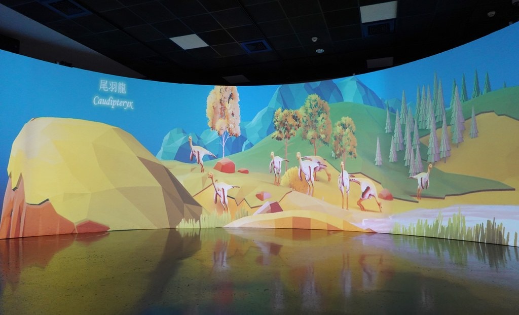 化石-8.JPG 化石-8.JPG