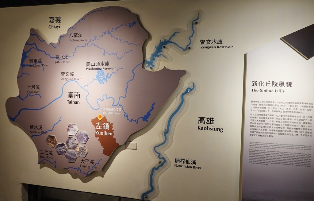 化石-12.JPG 化石-12.JPG