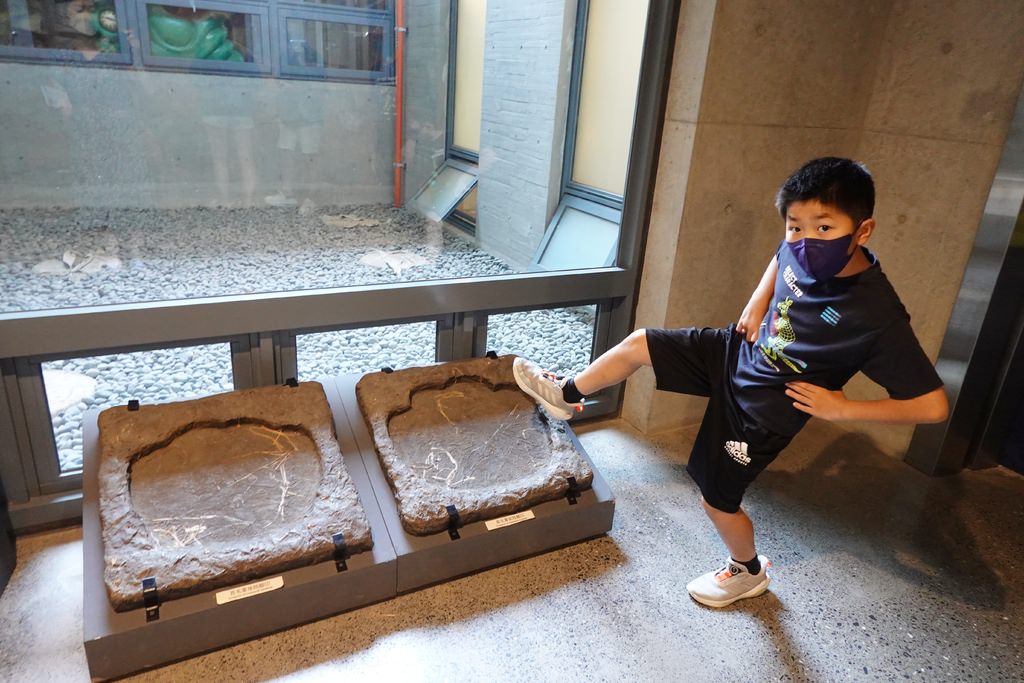 化石-10.JPG 化石-10.JPG