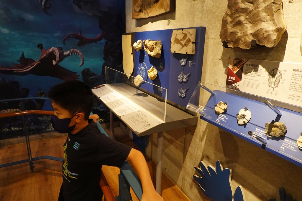 化石-17.JPG 化石-17.JPG