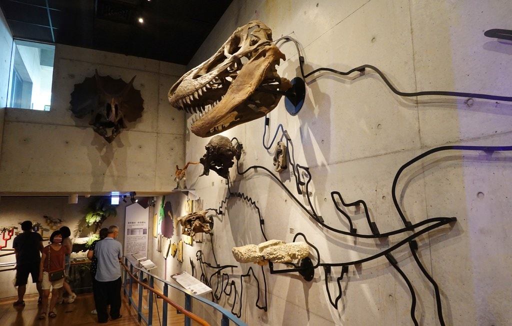 化石-20.JPG 化石-20.JPG