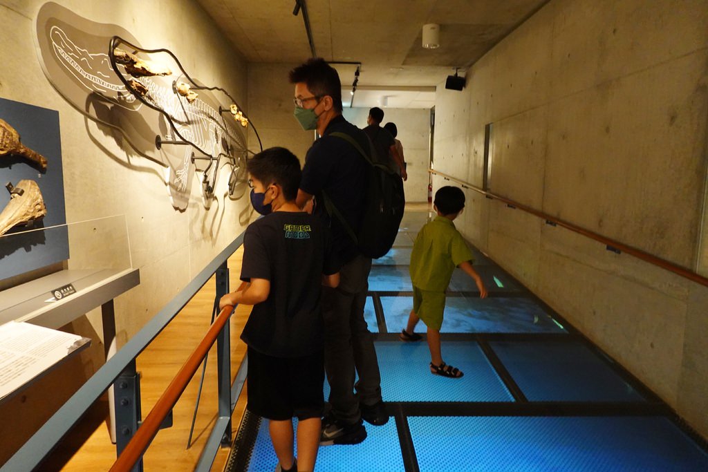 化石-27.JPG 化石-27.JPG