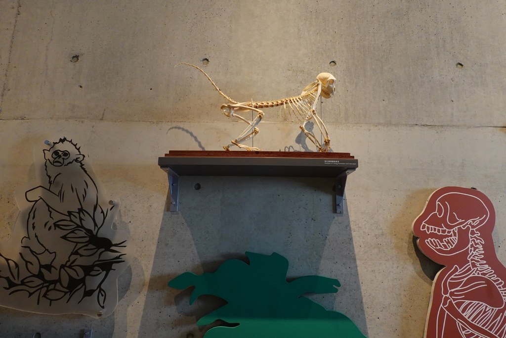 化石-30.JPG 化石-30.JPG