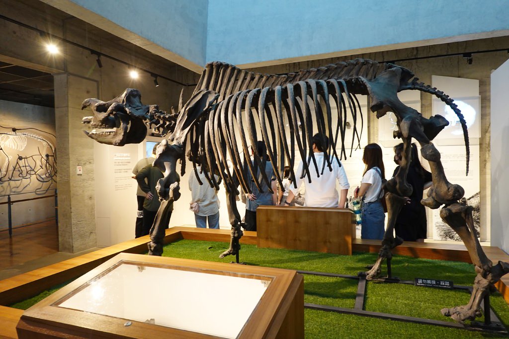 化石-34.JPG 化石-34.JPG