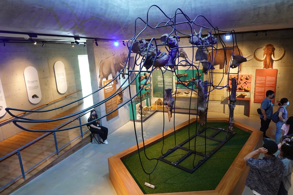 化石-38.JPG 化石-38.JPG