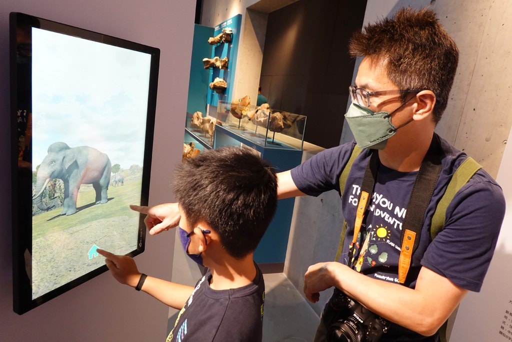 化石-43.JPG 化石-43.JPG
