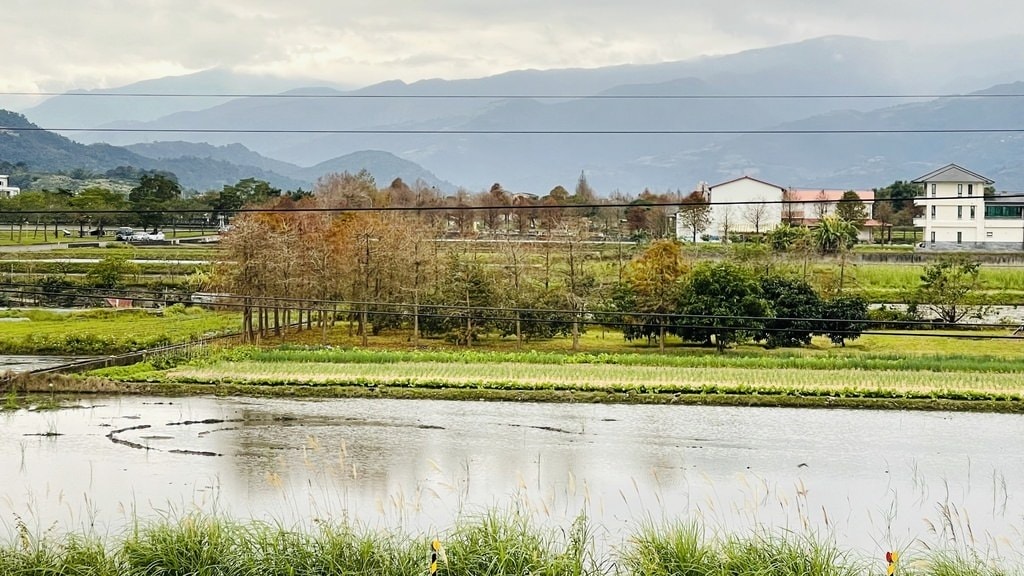 雷院子-39.JPG