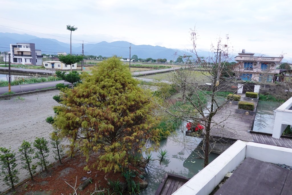雷院子-14.JPG