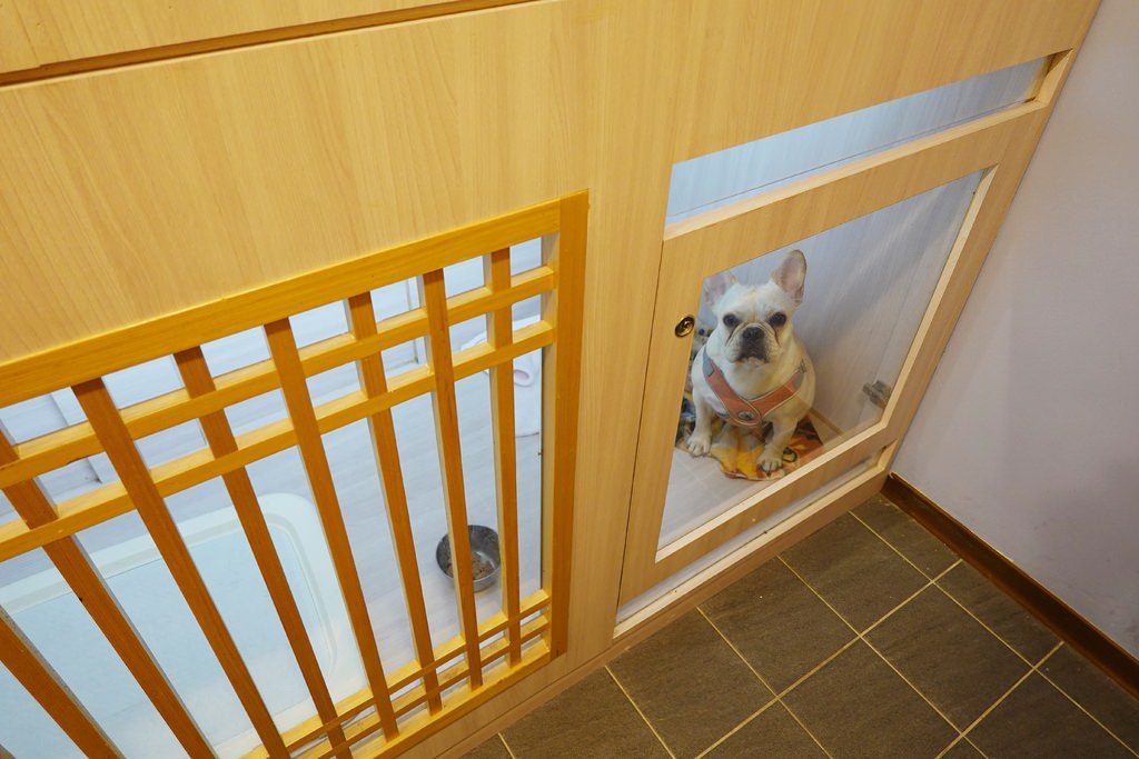 寵物房-2.JPG