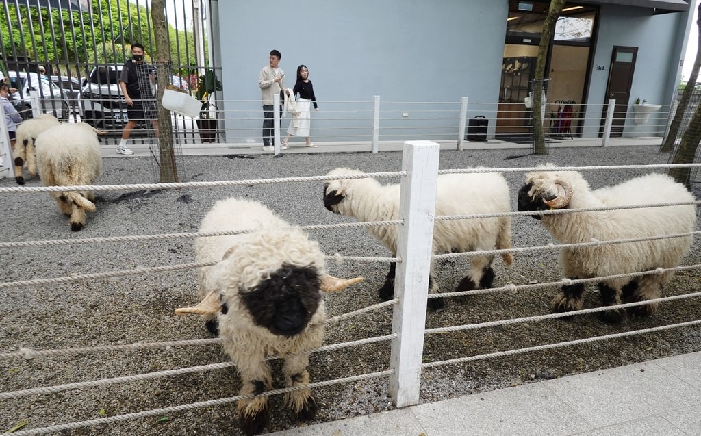 黑嚕嚕-19.JPG
