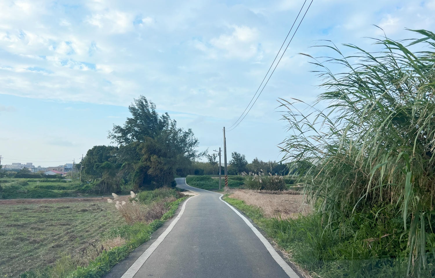 【慢旅行。桃園景點推薦】大園華興池生態埤塘公園 , 全新推出【喬寓咖啡(The Qaio)】, 特色遊樂園、賞景、飛機一站式親子樂園 - 第49張圖