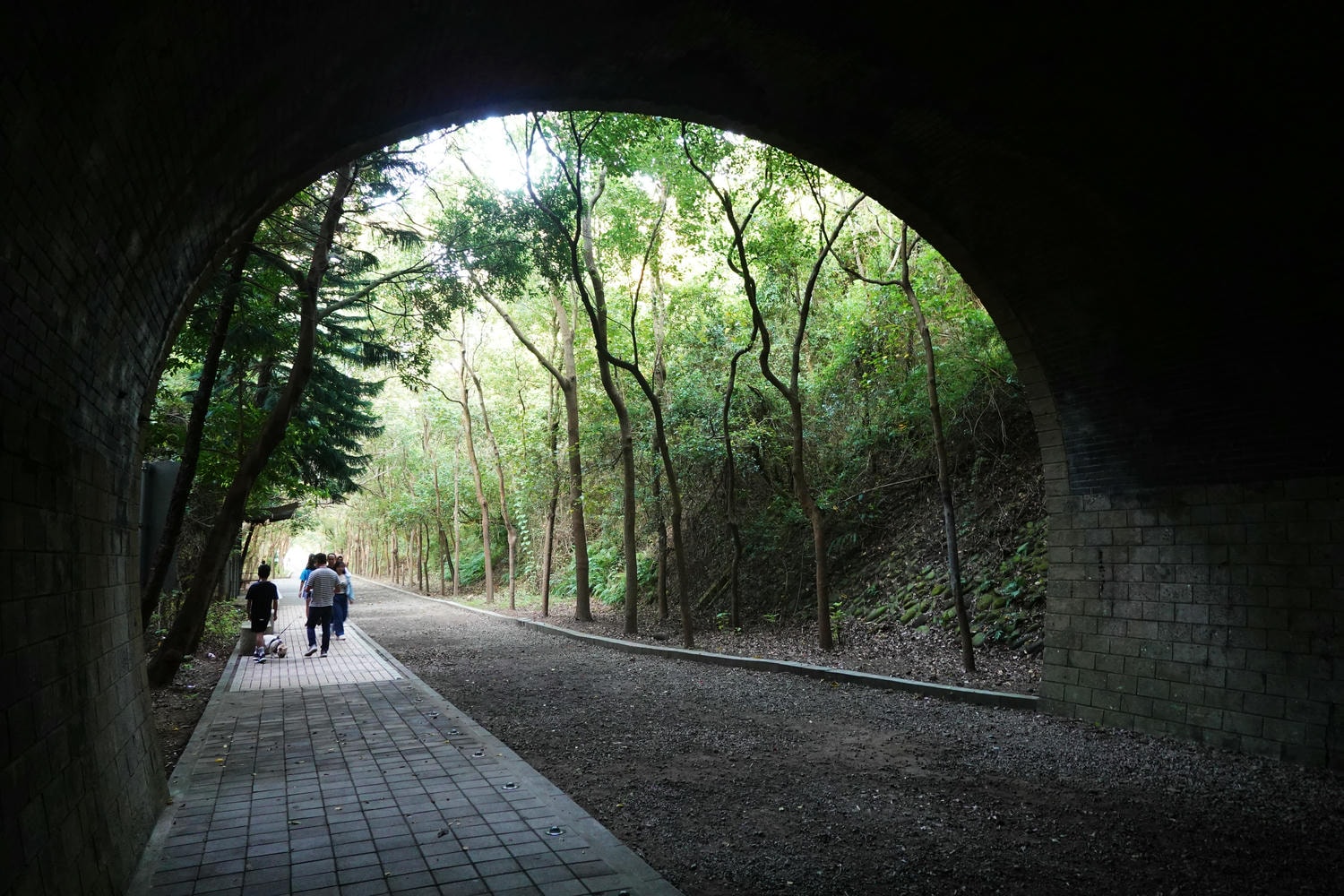 【慢旅行。苗栗景點推薦】帶著毛小孩旅行。崎頂車站與崎頂子母隧道的驚奇之旅 , 崎頂隧道文化公園追火車 - 第29張圖