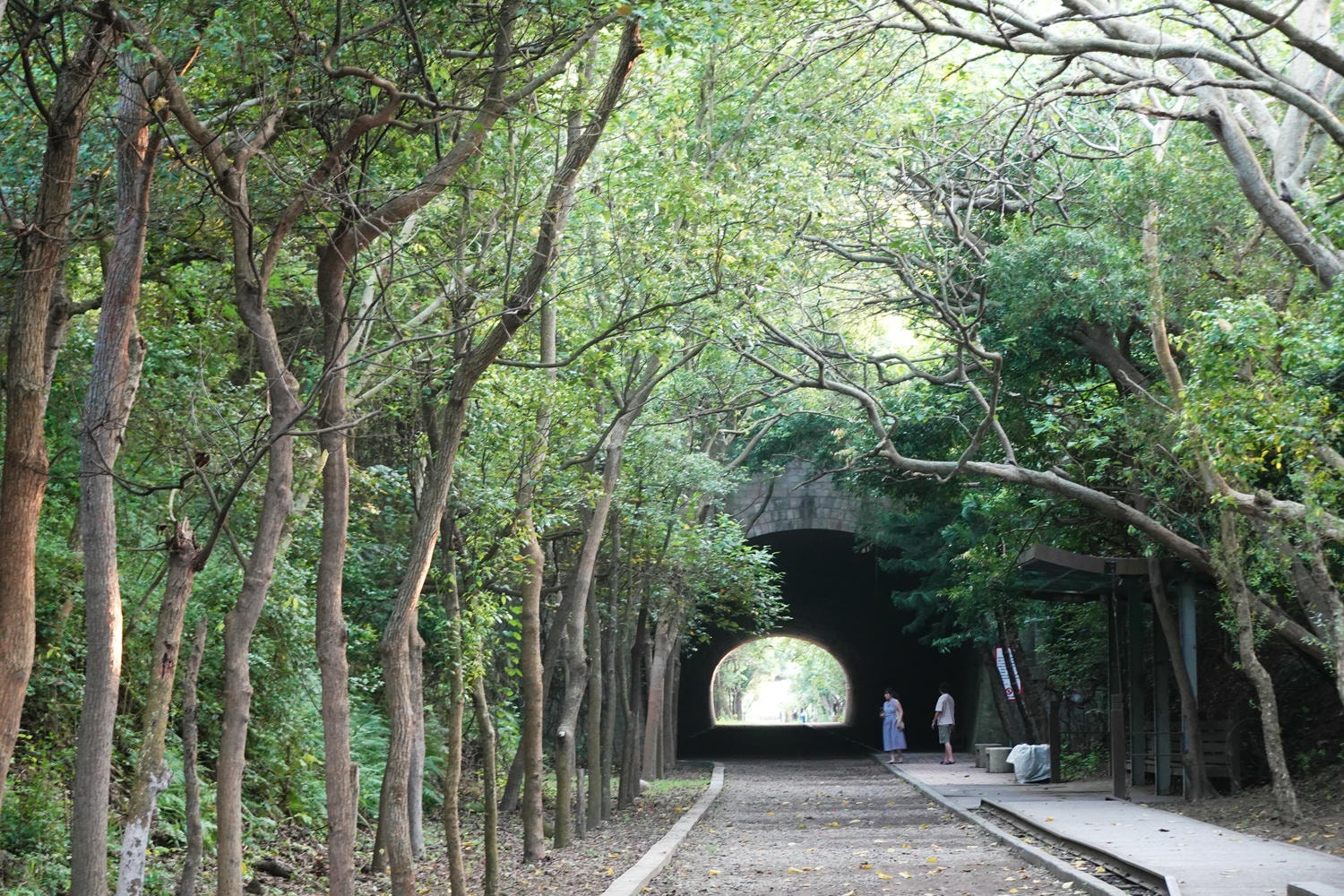 【慢旅行。苗栗景點推薦】帶著毛小孩旅行。崎頂車站與崎頂子母隧道的驚奇之旅 , 崎頂隧道文化公園追火車 - 第30張圖