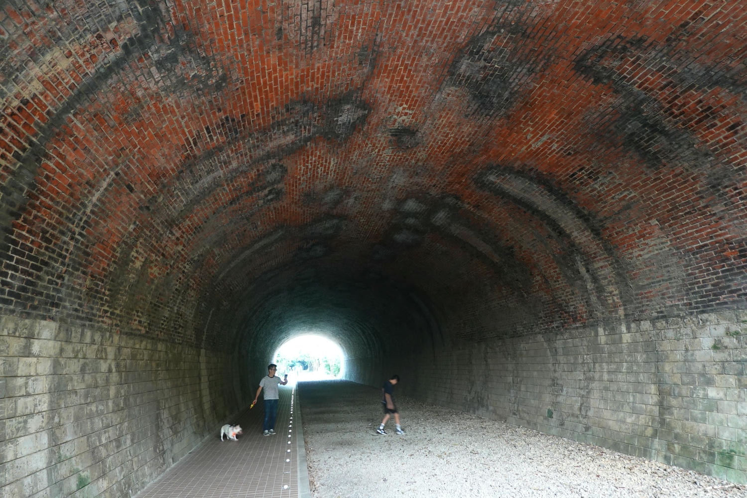 【慢旅行。苗栗景點推薦】帶著毛小孩旅行。崎頂車站與崎頂子母隧道的驚奇之旅 , 崎頂隧道文化公園追火車 - 第22張圖