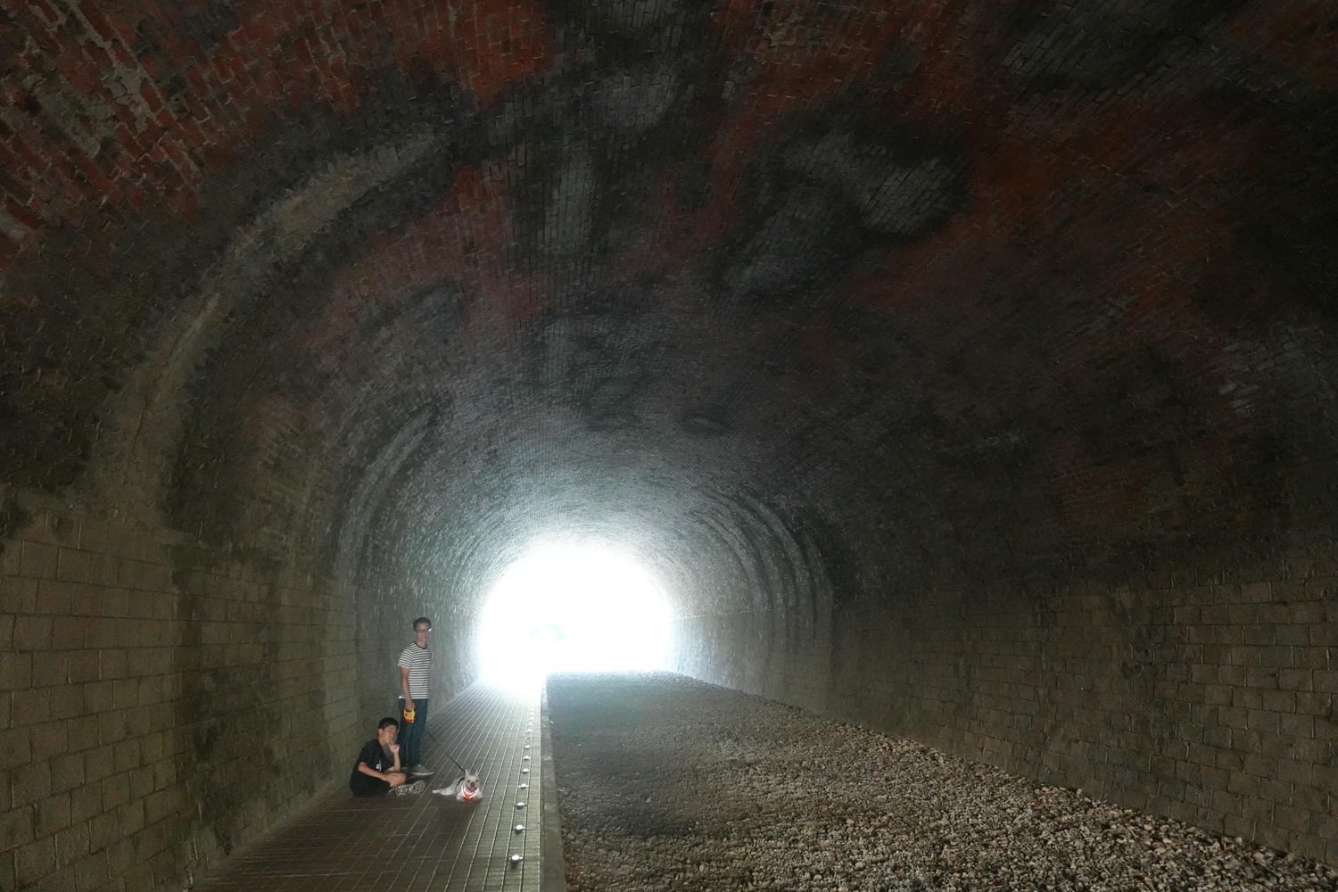 【慢旅行。苗栗景點推薦】帶著毛小孩旅行。崎頂車站與崎頂子母隧道的驚奇之旅 , 崎頂隧道文化公園追火車 - 第23張圖