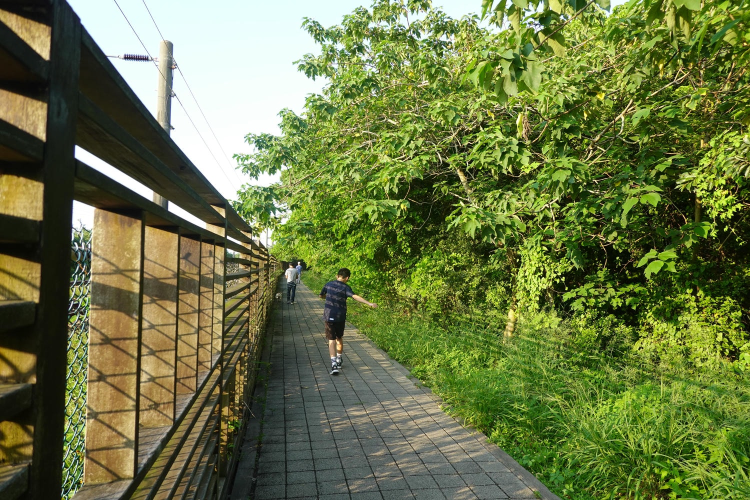 【慢旅行。苗栗景點推薦】帶著毛小孩旅行。崎頂車站與崎頂子母隧道的驚奇之旅 , 崎頂隧道文化公園追火車 - 第19張圖