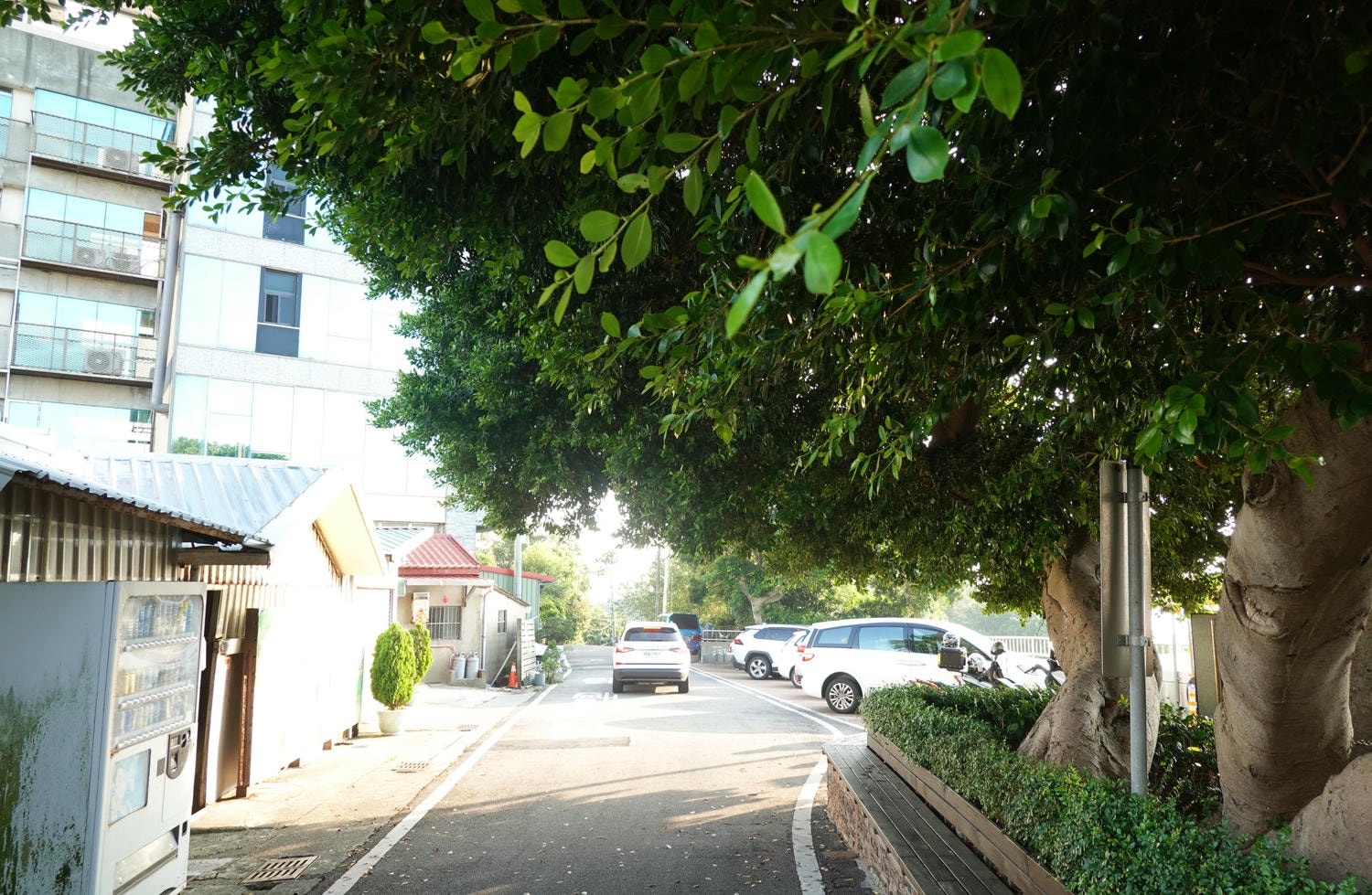 【慢旅行。苗栗景點推薦】帶著毛小孩旅行。崎頂車站與崎頂子母隧道的驚奇之旅 , 崎頂隧道文化公園追火車 - 第11張圖