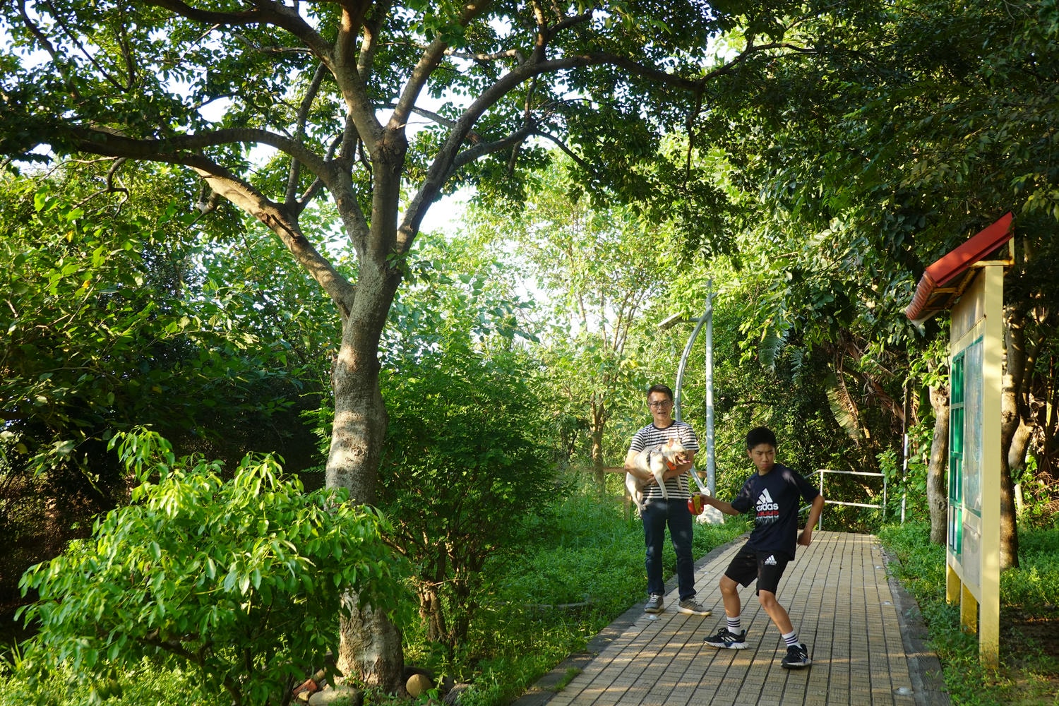 【慢旅行。苗栗景點推薦】帶著毛小孩旅行。崎頂車站與崎頂子母隧道的驚奇之旅 , 崎頂隧道文化公園追火車 - 第15張圖