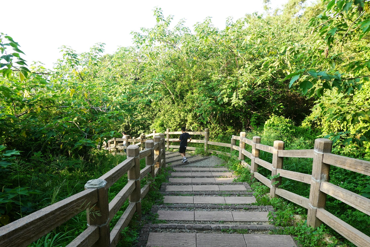 【慢旅行。苗栗景點推薦】帶著毛小孩旅行。崎頂車站與崎頂子母隧道的驚奇之旅 , 崎頂隧道文化公園追火車 - 第16張圖