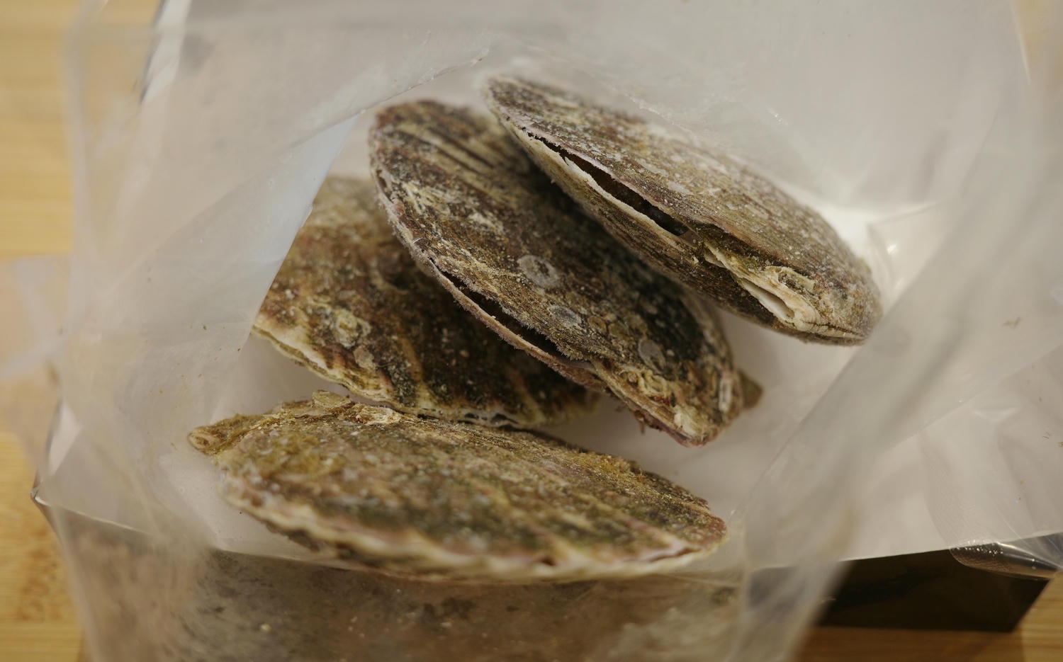 【開箱。冷凍鮪魚推薦】高雄魚有王x姐夫嚴選——不需要飛到日本 , 超低溫鮪魚的極致美味 , 鮮美直送餐桌 - 第19張圖