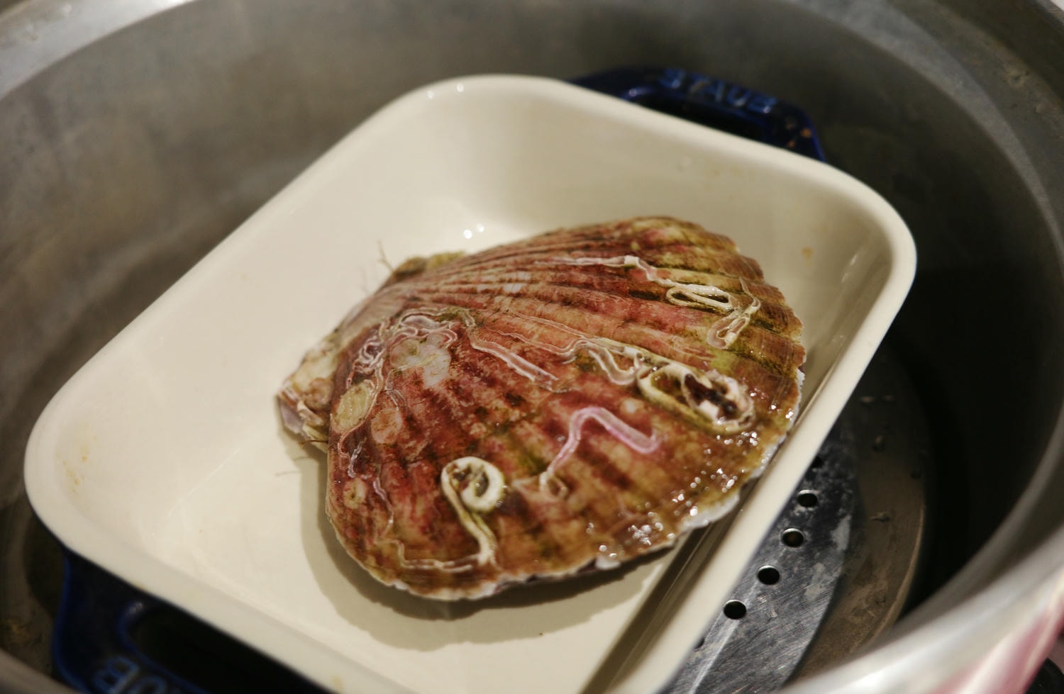 【開箱。冷凍鮪魚推薦】高雄魚有王x姐夫嚴選——不需要飛到日本 , 超低溫鮪魚的極致美味 , 鮮美直送餐桌 - 第23張圖