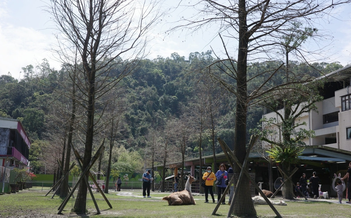 【慢旅行。宜蘭景點推薦】梅花湖一日親子遊 ,【心花鹿Fun農場】遇見水豚君 , 環湖騎行路線攻略 - 第11張圖