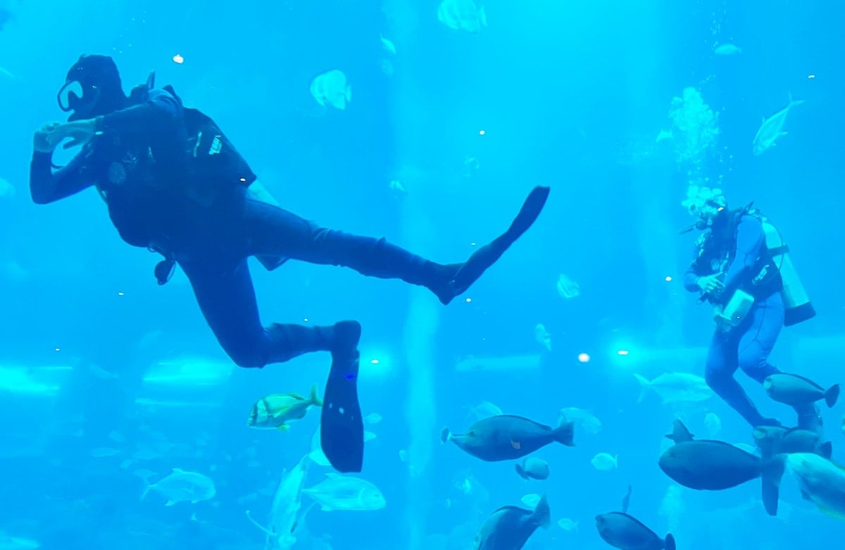 上 水 馬 會 投注 站 開放 時間 (99) 사진