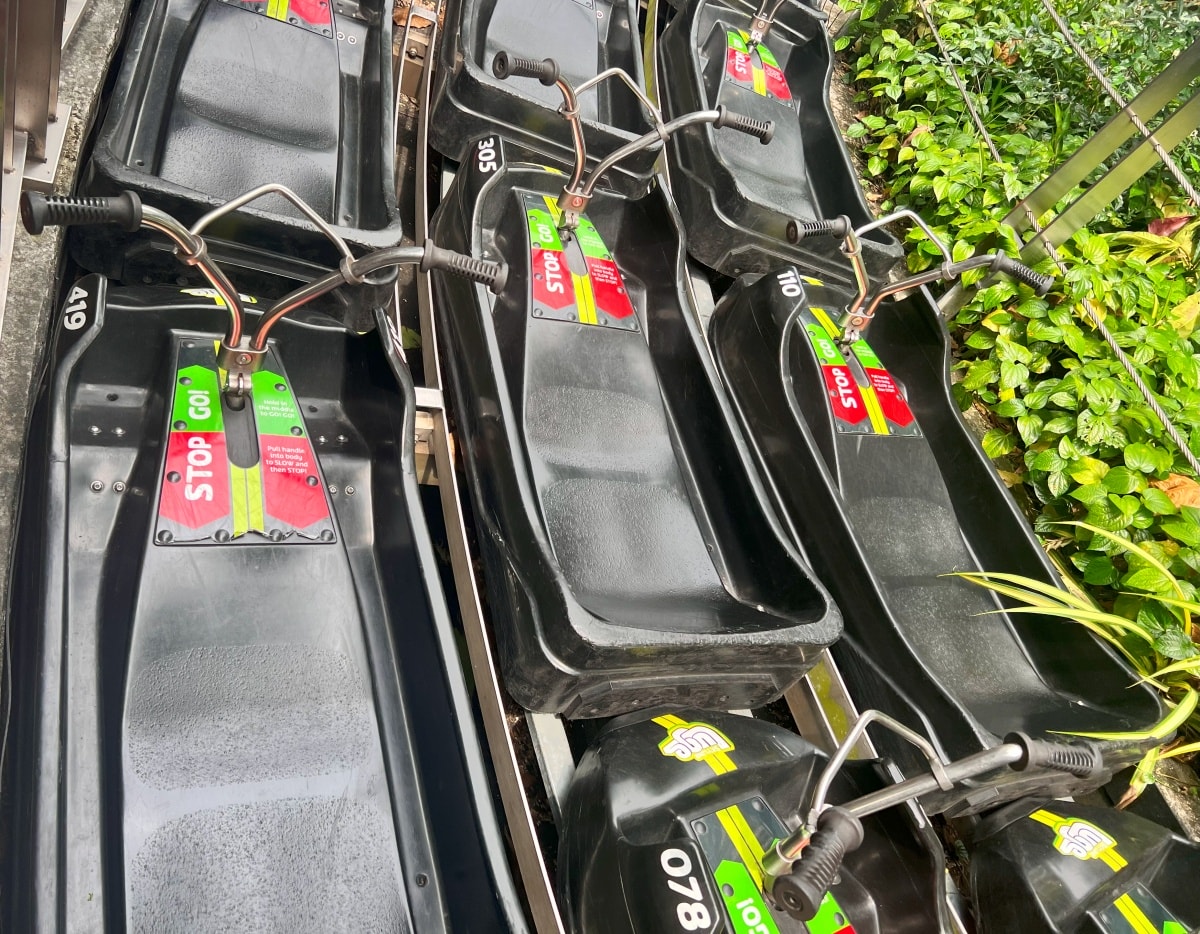 【出走。新加坡】聖淘沙自由行攻略|一次搞懂必玩景點、交通、住宿 , EP2.斜坡滑車與空中吊椅(Skyline Luge & Skyride) - 第39張圖