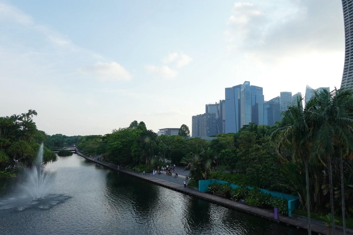 【出走。新加坡】新加坡濱海灣|走進《阿凡達》的世界 , EP2.濱海灣花園超級樹(Supertree Grove) - 第13張圖