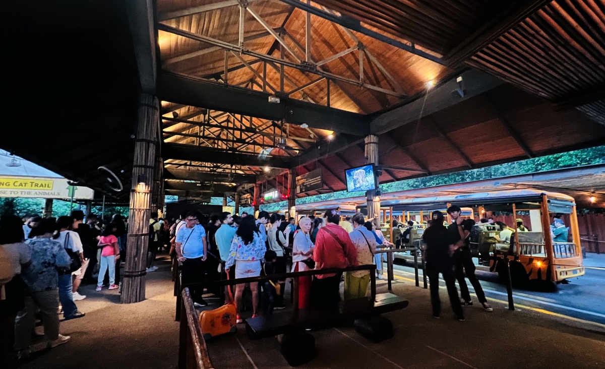 【出走。新加坡】新加坡夜間野生動物園(Night Safari) , 一場讓大人也驚呼的黑夜探險 - 第15張圖