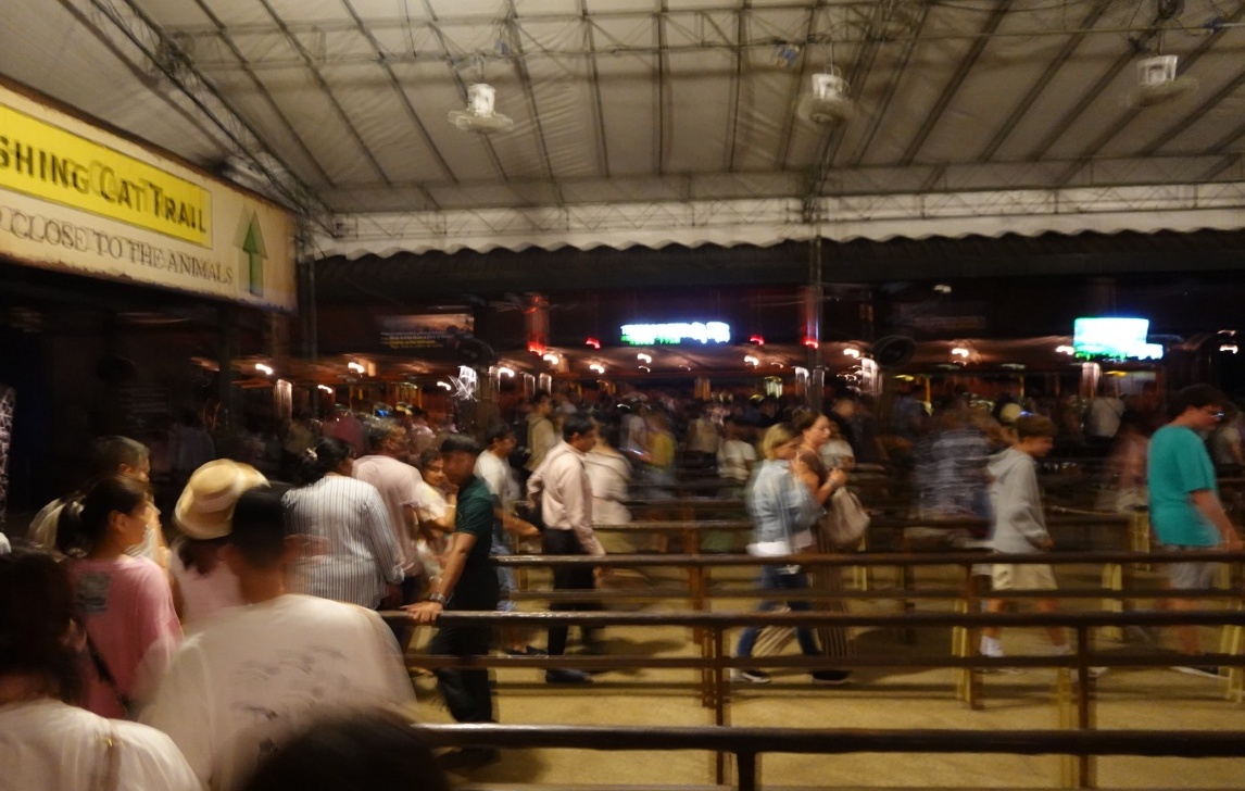 【出走。新加坡】新加坡夜間野生動物園(Night Safari) , 一場讓大人也驚呼的黑夜探險 - 第14張圖