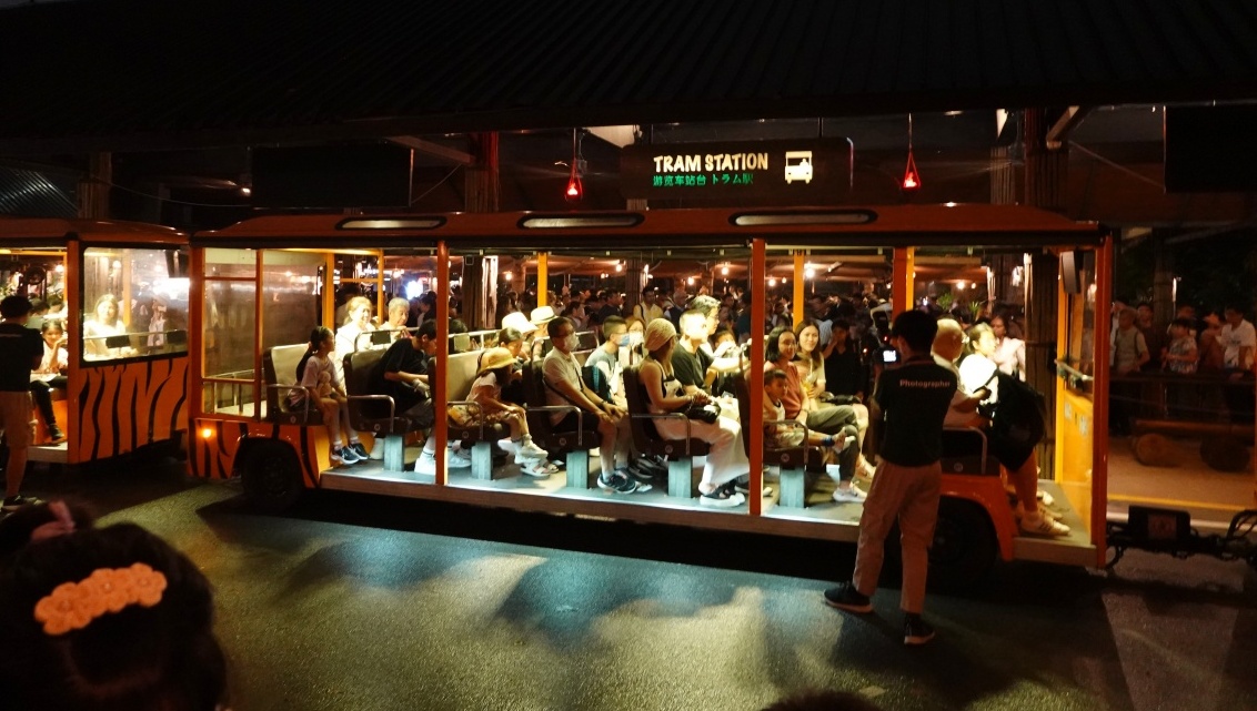 【出走。新加坡】新加坡夜間野生動物園(Night Safari) , 一場讓大人也驚呼的黑夜探險 - 第18張圖