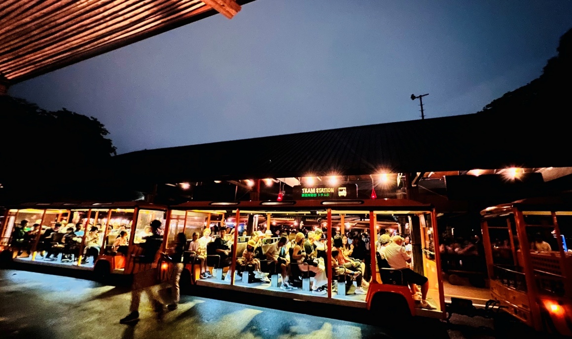 【出走。新加坡】新加坡夜間野生動物園(Night Safari) , 一場讓大人也驚呼的黑夜探險 - 第17張圖