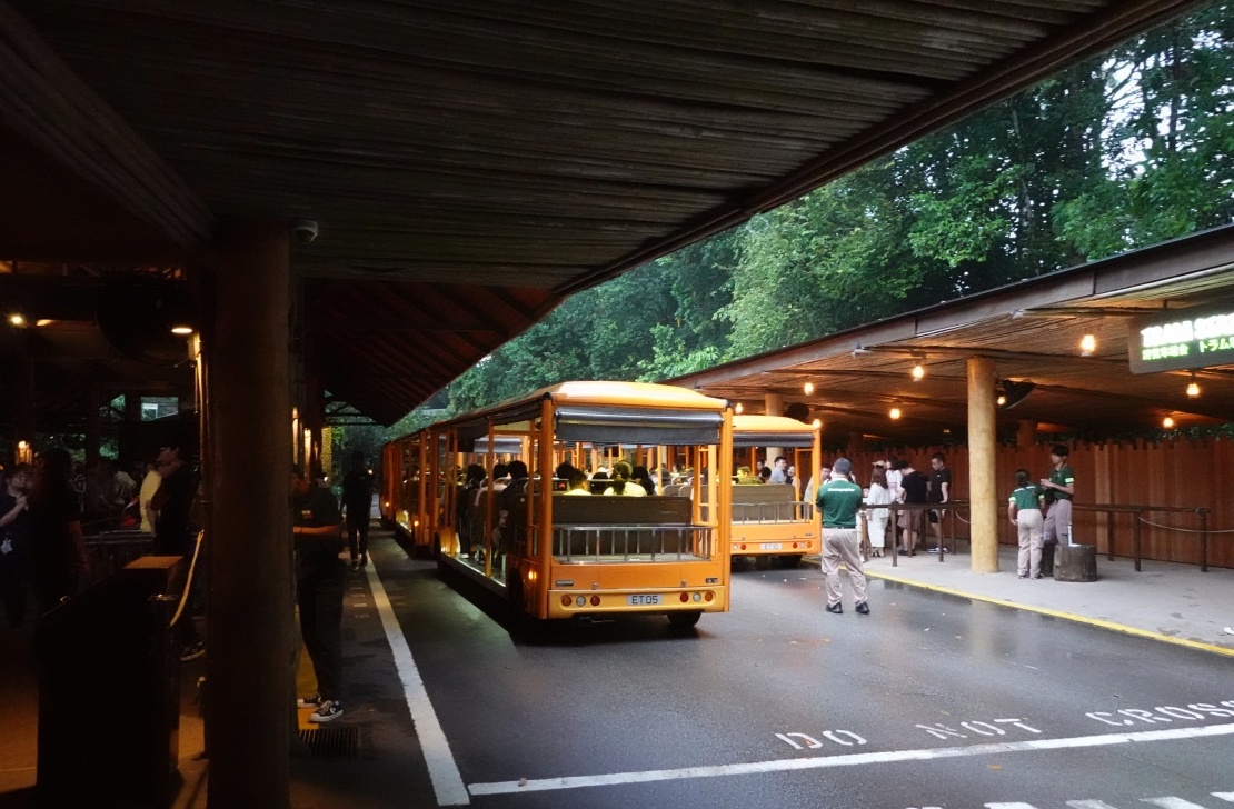 【出走。新加坡】新加坡夜間野生動物園(Night Safari) , 一場讓大人也驚呼的黑夜探險 - 第16張圖