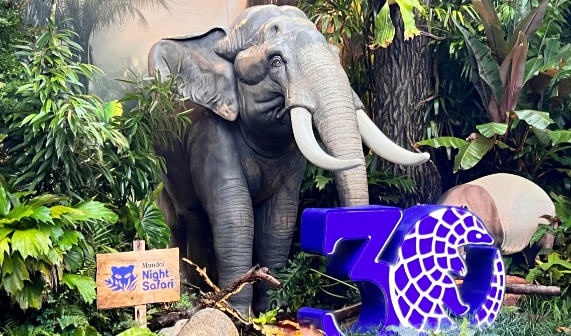 【出走。新加坡】新加坡夜間野生動物園(Night Safari) , 一場讓大人也驚呼的黑夜探險 - 第6張圖