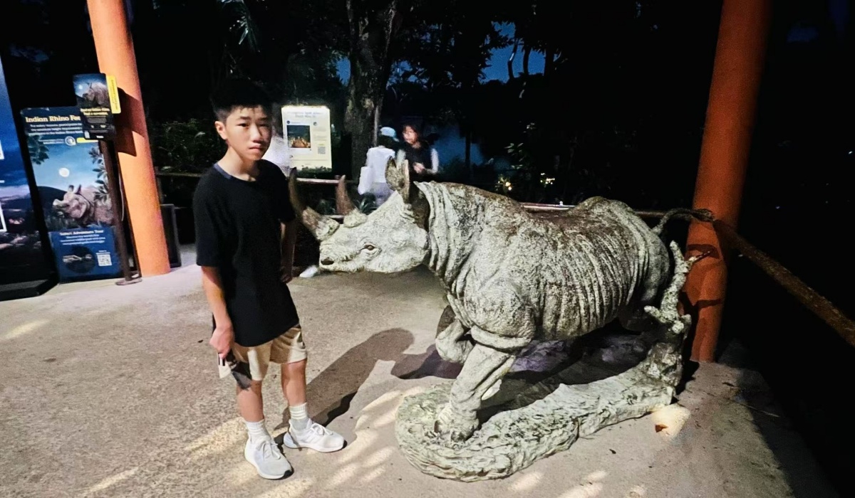 【出走。新加坡】新加坡夜間野生動物園(Night Safari) , 一場讓大人也驚呼的黑夜探險 - 第27張圖